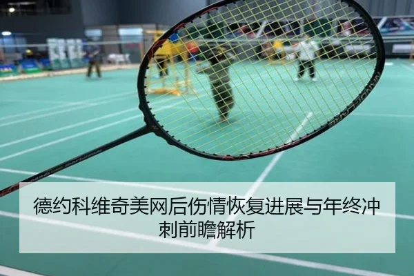 德约科维奇美网后伤情恢复进展与年终冲刺前瞻解析